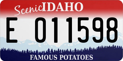ID license plate E011598