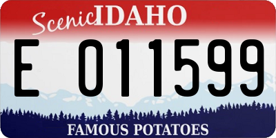 ID license plate E011599