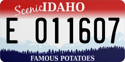 ID license plate E011607