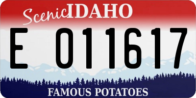 ID license plate E011617