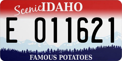 ID license plate E011621