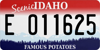 ID license plate E011625