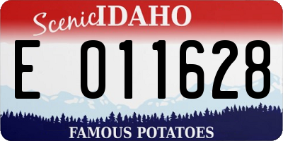 ID license plate E011628