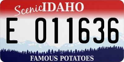 ID license plate E011636