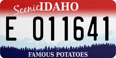 ID license plate E011641