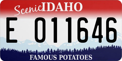 ID license plate E011646