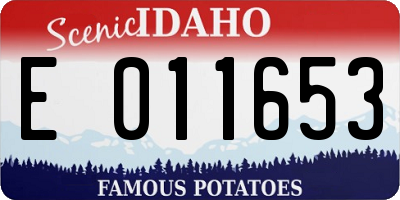 ID license plate E011653