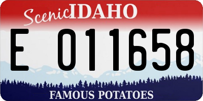 ID license plate E011658