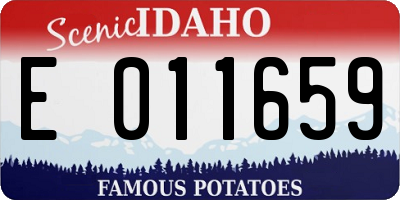 ID license plate E011659