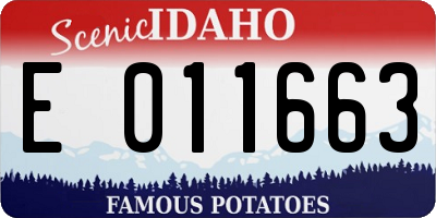 ID license plate E011663