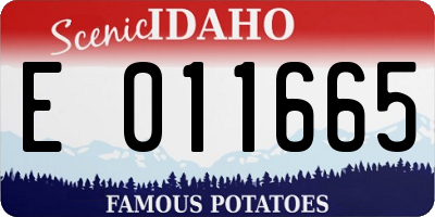 ID license plate E011665