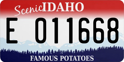 ID license plate E011668