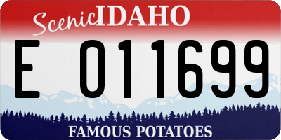 ID license plate E011699