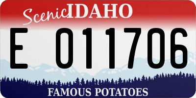 ID license plate E011706