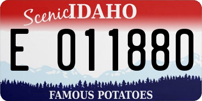 ID license plate E011880