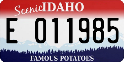 ID license plate E011985