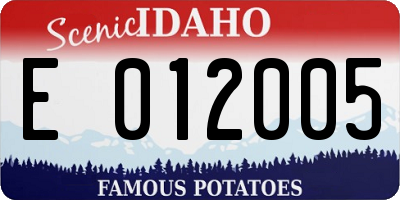 ID license plate E012005