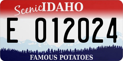 ID license plate E012024