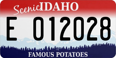 ID license plate E012028