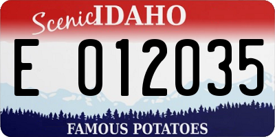 ID license plate E012035