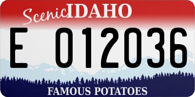 ID license plate E012036