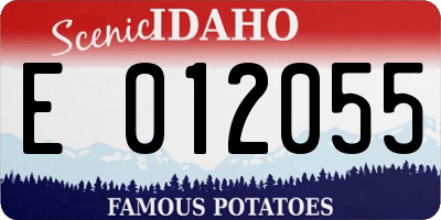 ID license plate E012055