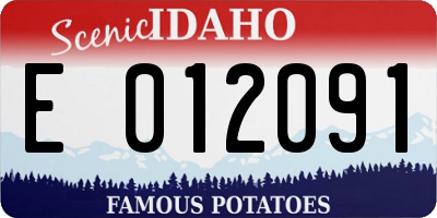 ID license plate E012091