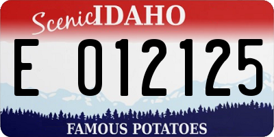 ID license plate E012125