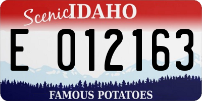 ID license plate E012163