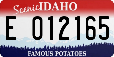 ID license plate E012165