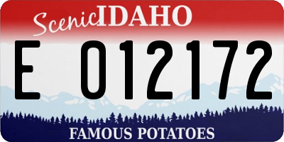 ID license plate E012172