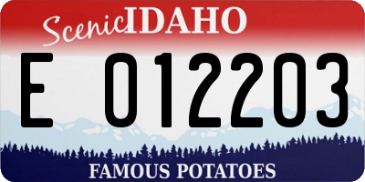 ID license plate E012203