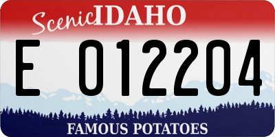 ID license plate E012204