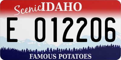 ID license plate E012206