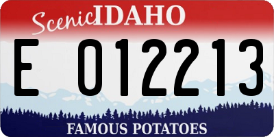 ID license plate E012213