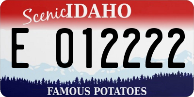 ID license plate E012222