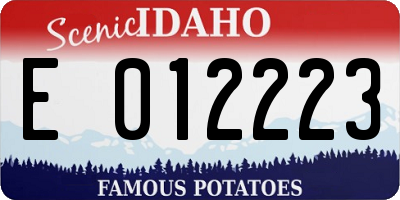 ID license plate E012223