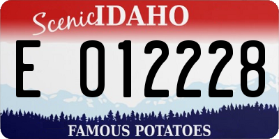 ID license plate E012228