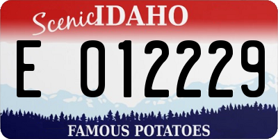 ID license plate E012229