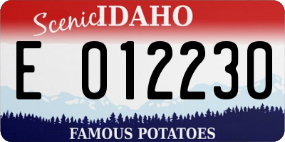 ID license plate E012230