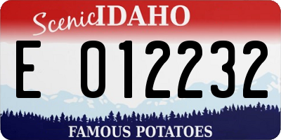 ID license plate E012232