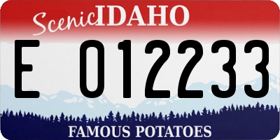 ID license plate E012233