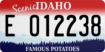 ID license plate E012238