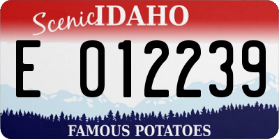 ID license plate E012239