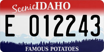 ID license plate E012243