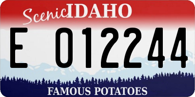 ID license plate E012244