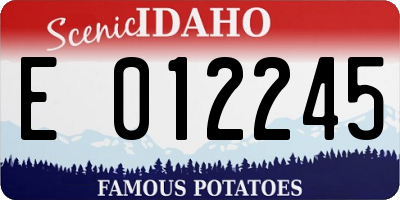 ID license plate E012245