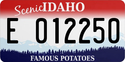 ID license plate E012250