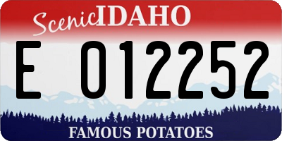 ID license plate E012252