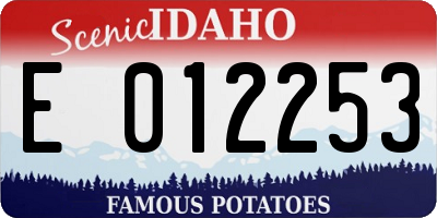 ID license plate E012253